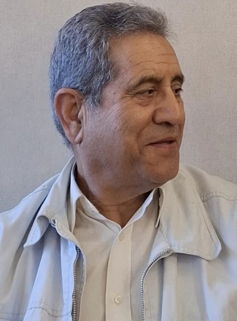 Bozkurt Türk Mitolojisinde, Kültüründe ve Medeniyetinde